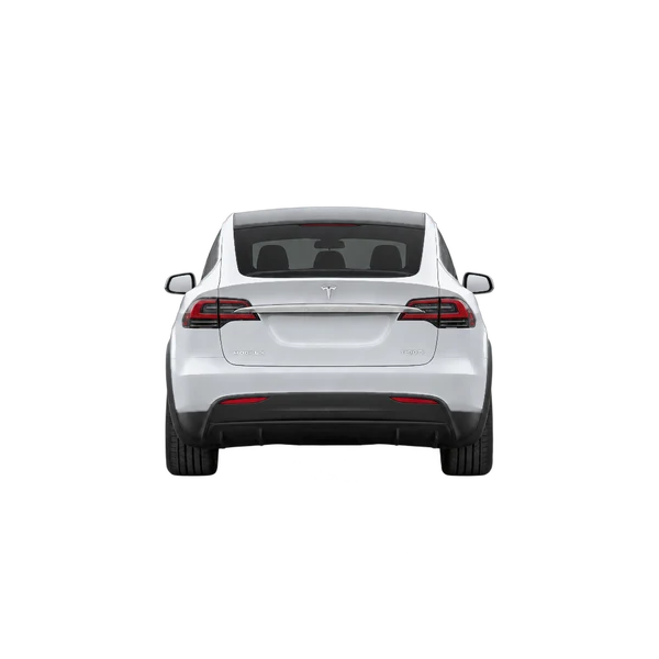 silver 2020 Tesla Model X rear view