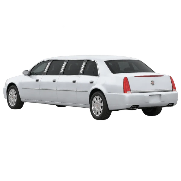 silver 2010 Cadillac Limousine rear three-quarter (facing left) view