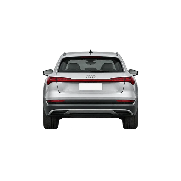 2021 Audi e-tron in Silber, Ansicht: Heck