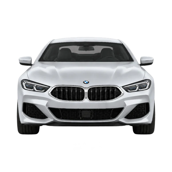 2021 BMW 8 Series in Silber, Ansicht: Front