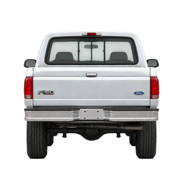 Ford F-150 1994 prata, vista traseira