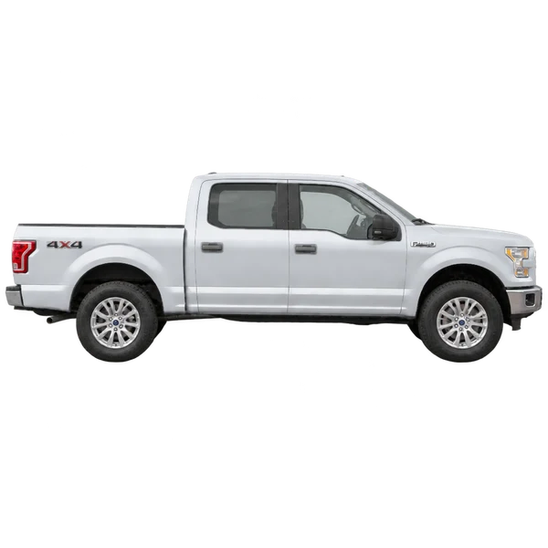 Ford F-150 2017 argent, vue profil (tourné vers la droite)