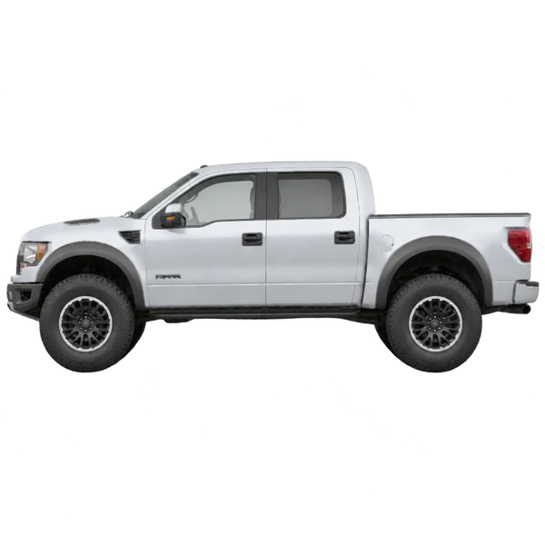 Ford F150 Raptor 2010 argent, vue côté (vers la gauche)