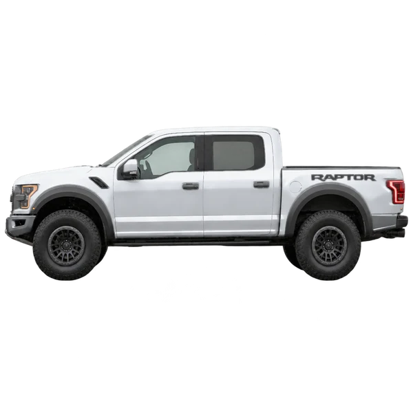 Ford F150 Raptor 2017 argent, vue côté (vers la gauche)