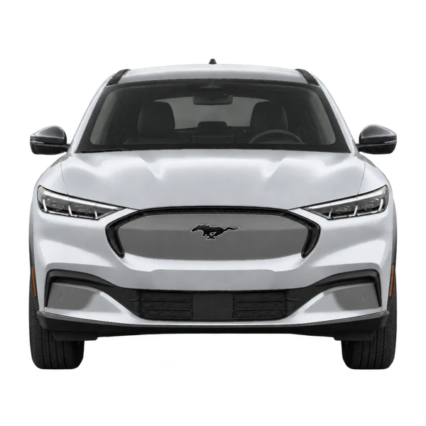 2024 Ford Mustang Mach-E in Silber, Ansicht: Front