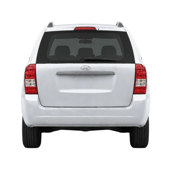 シルバーの2007 Hyundai Entourage(リアビュー)