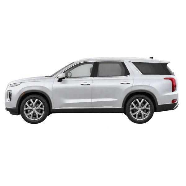 Hyundai Palisade 2020 prata, vista lateral (voltada para a esquerda)