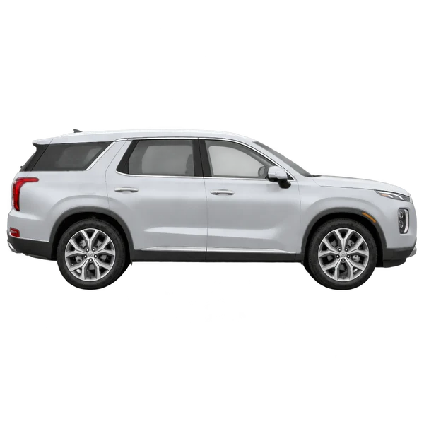 シルバーの2020 Hyundai Palisade（側面（右向き）ビュー）