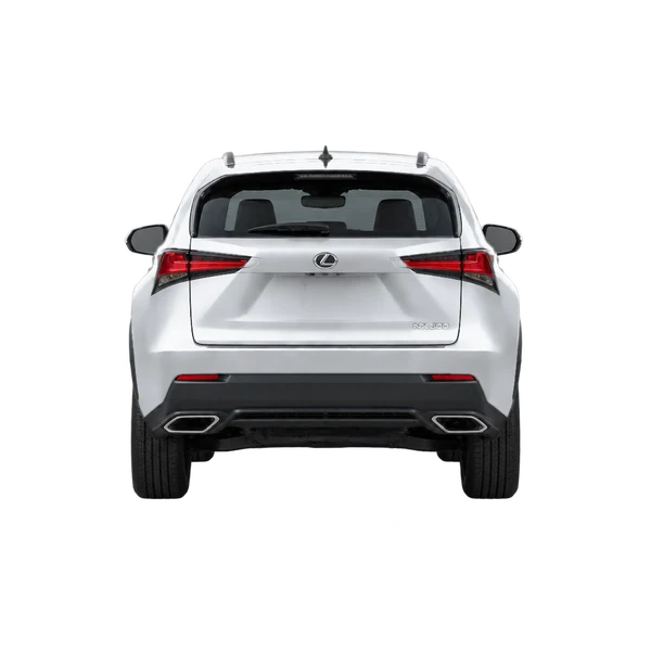 Lexus NX 300 2022 prata, vista traseira