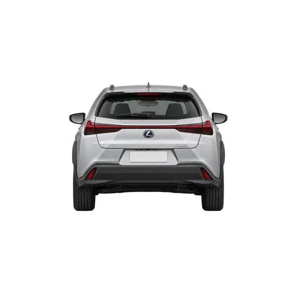 Lexus UX250H 2022 prata, vista traseira