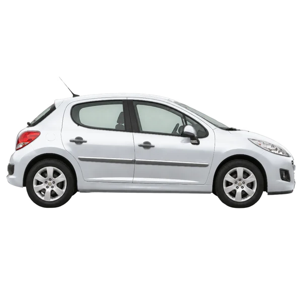 Peugeot 207 2010 باللون فضي، منظر منظر جانبي (باتجاه اليمين)