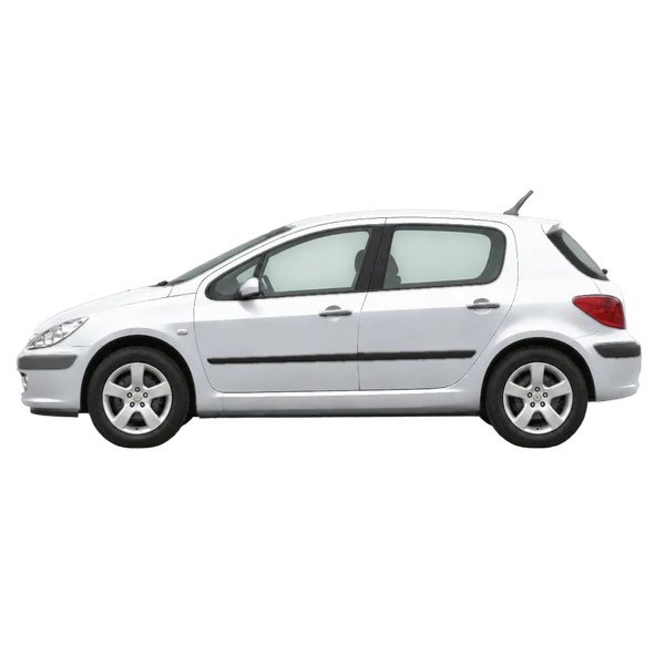 Peugeot 307 2003 prata, vista lateral (voltada para a esquerda)