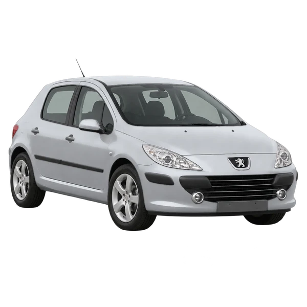 Peugeot 307 2009 argent, vue trois-quarts avant (orienté vers la gauche)