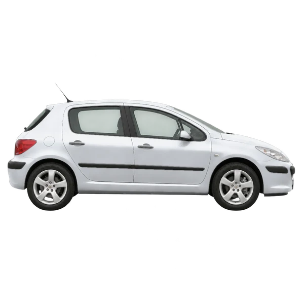 Peugeot 307 2009 باللون فضي، منظر منظر جانبي (باتجاه اليمين)