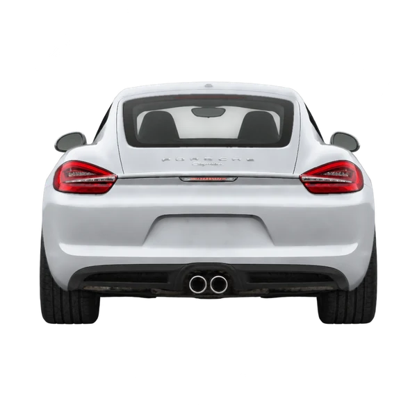 2014 Porsche Cayman in Silber, Ansicht: Heck