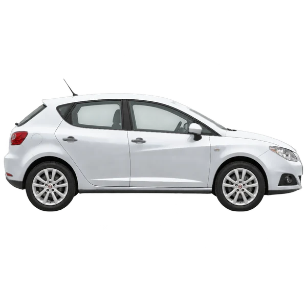 SEAT Ibiza 2010 باللون فضي، منظر منظر جانبي (باتجاه اليمين)
