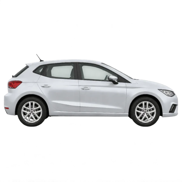 SEAT Ibiza 2020 باللون فضي، منظر منظر جانبي (باتجاه اليمين)
