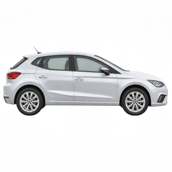 SEAT Ibiza 2021 باللون فضي، منظر منظر جانبي (باتجاه اليمين)