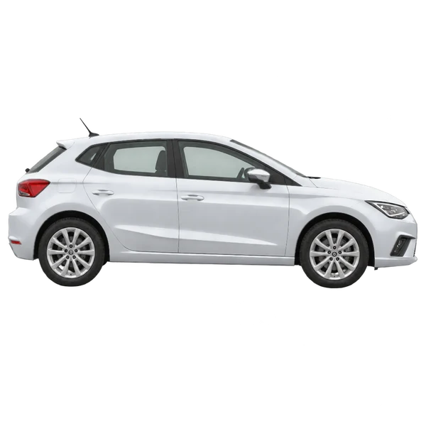2023 SEAT Ibiza in Silber, Ansicht: Seite (nach rechts gewandt)