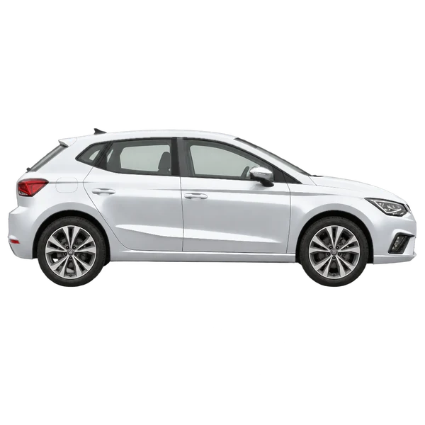 SEAT Ibiza 2024 باللون فضي، منظر منظر جانبي (باتجاه اليمين)