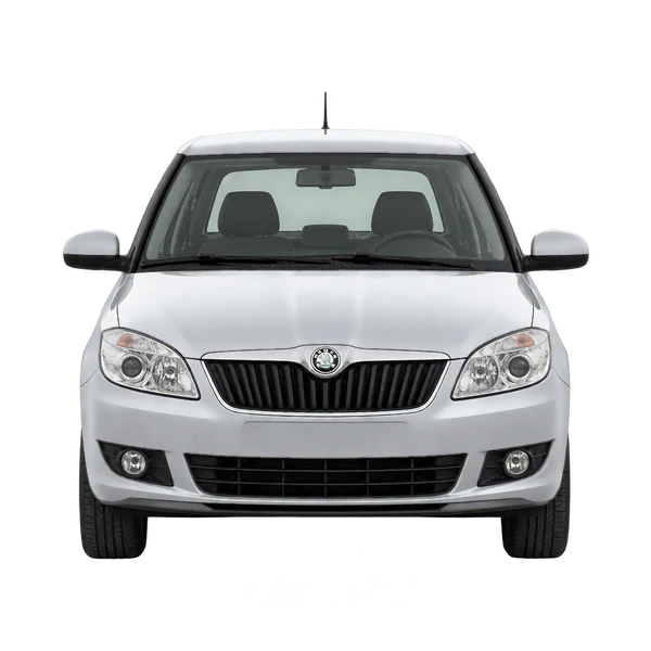 Skoda Fabia 2010 en plateado, vista frontal