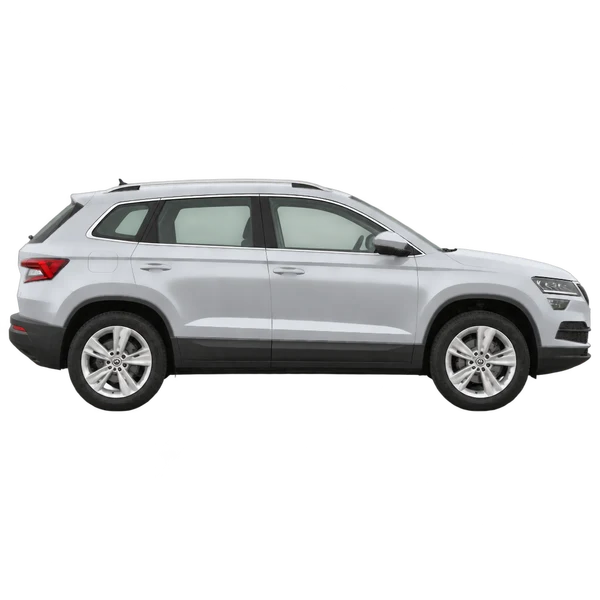 2019 Skoda Karoq in Silber, Ansicht: Seite (nach rechts gewandt)