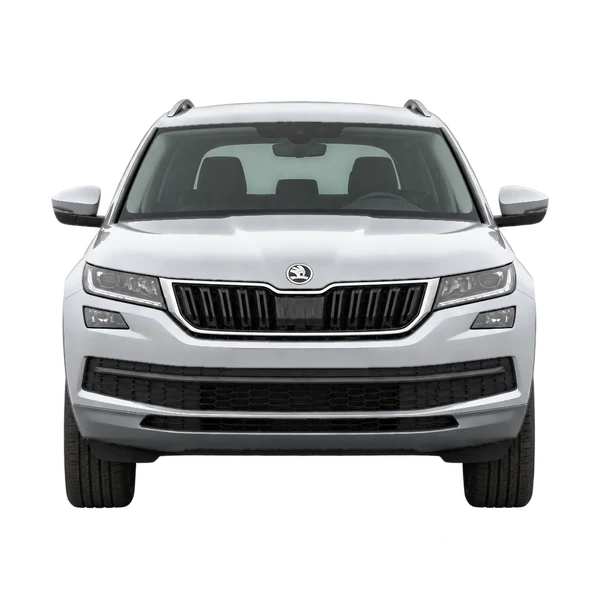 2020 Skoda Kodiaq in Silber, Ansicht: Front